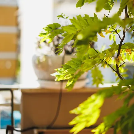 Elsi, Where Relaxation And Elegance Meet Villa *